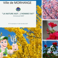 La nature agit, l'homme fait : Semaine 14